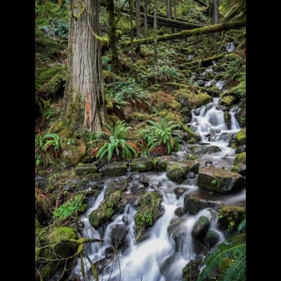 Waterfall by Michael Medina. Settings: Long Exposure mode