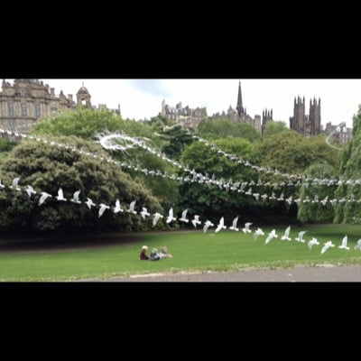 Seagulls by Alison Grant. Settings: Light Trails mode