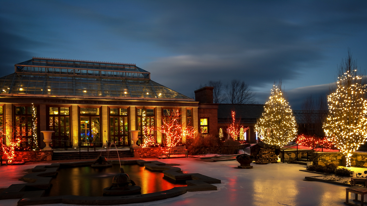 Orangery | NightCap Camera